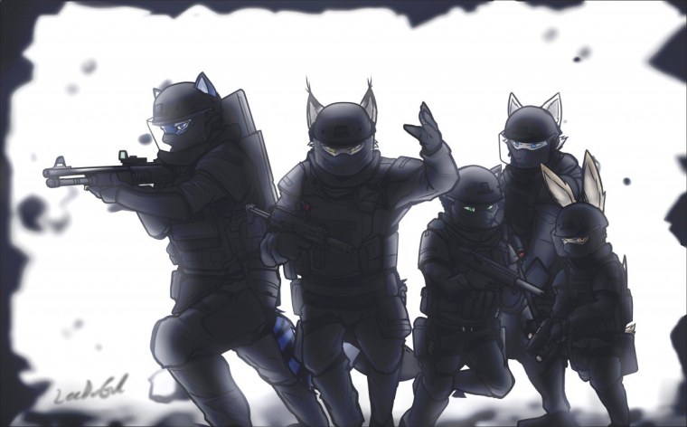 Фуррь отряд