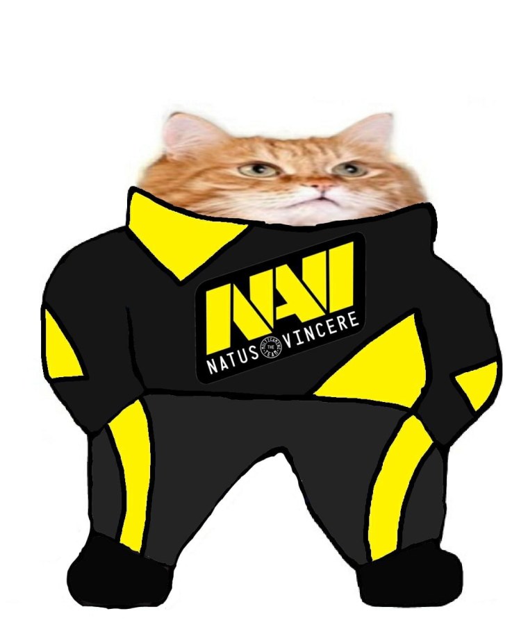 Кот в костюме нави