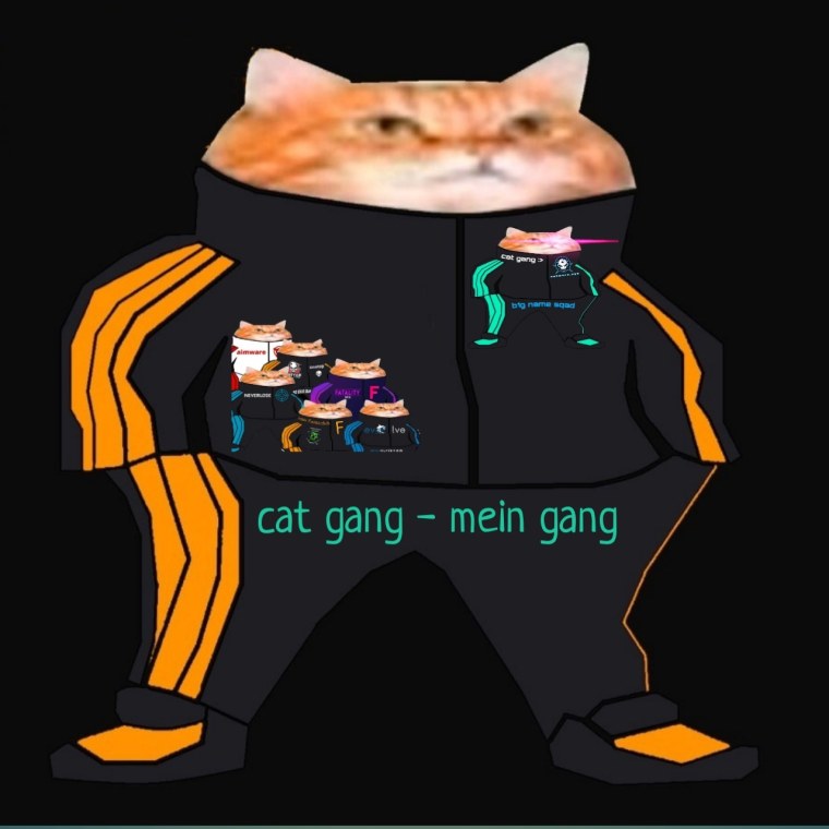 Кошка на аву в стим