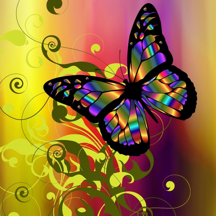 Радужные бабочки