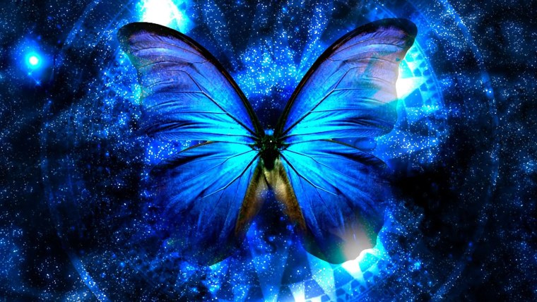 Голубая бабочка символ