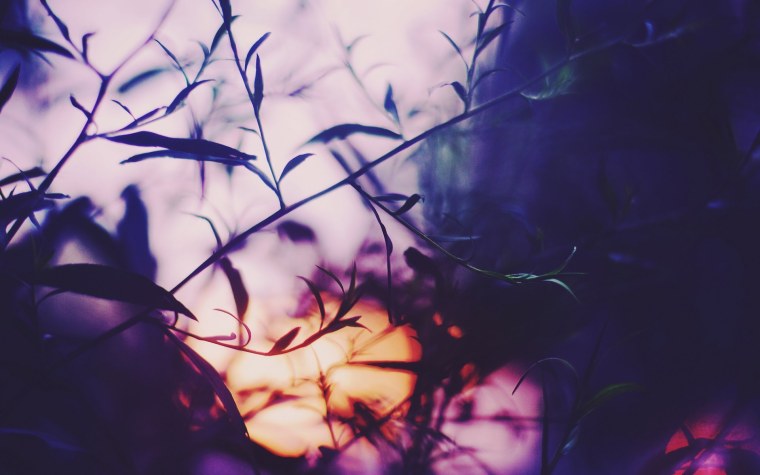 Тень природа