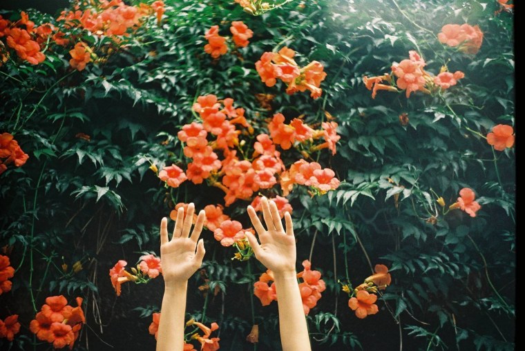 Розовое небо с облаками