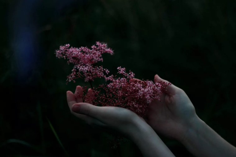 Пудровый Эстетика