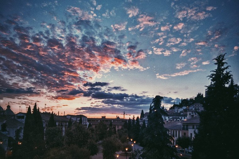 Тени от деревьев в интерьере