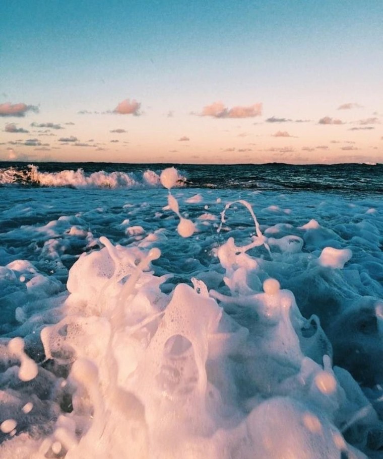 Пионы Эстетика нюд