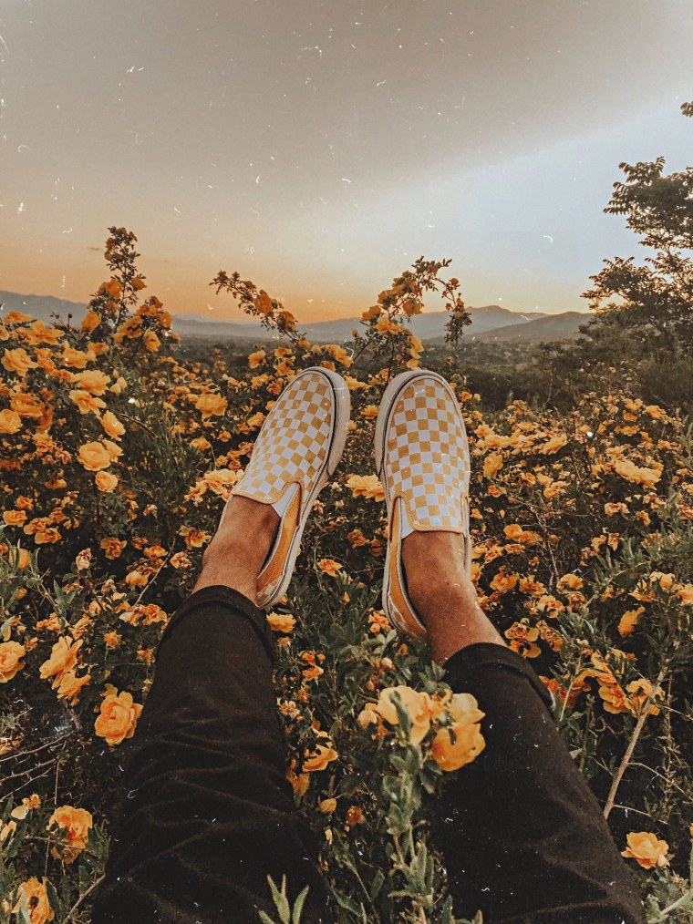 Нежная Эстетика