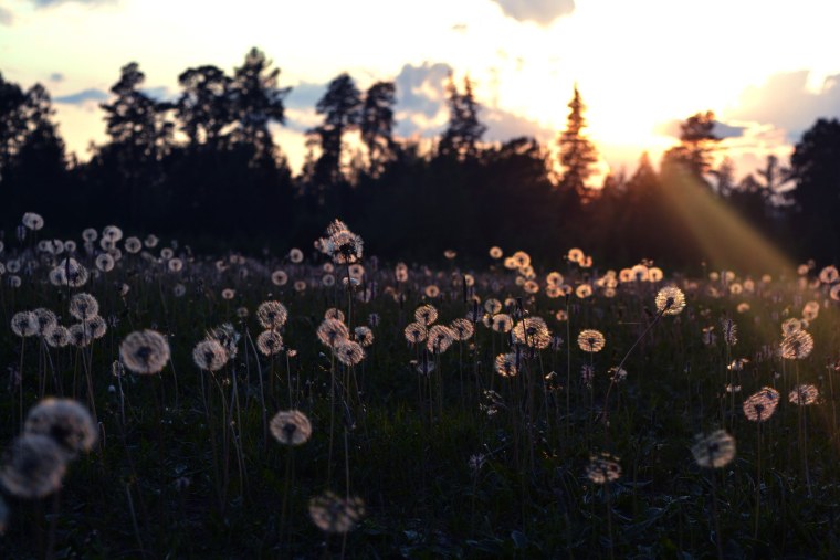 Розовые сохраненки Эстетика