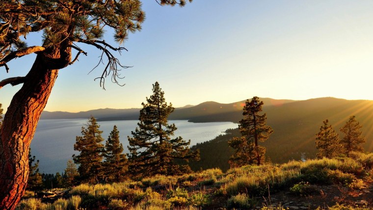 Альпы и Карпаты