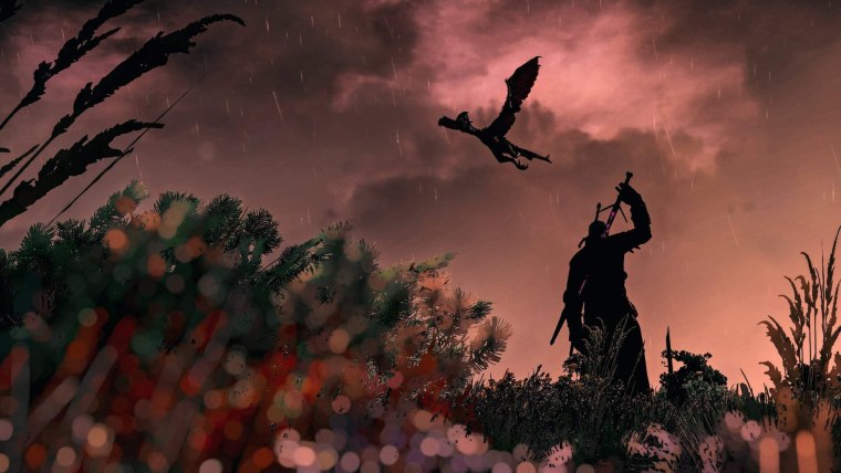 Ведьмак "Дикая охота"  the Witcher 3: Wild Hunt