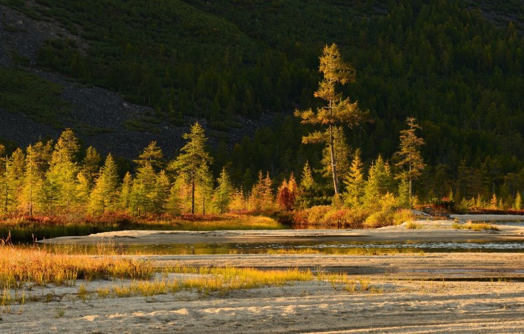 Осень в тайге Сибири фото