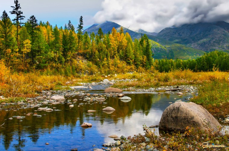 Осень в тайге