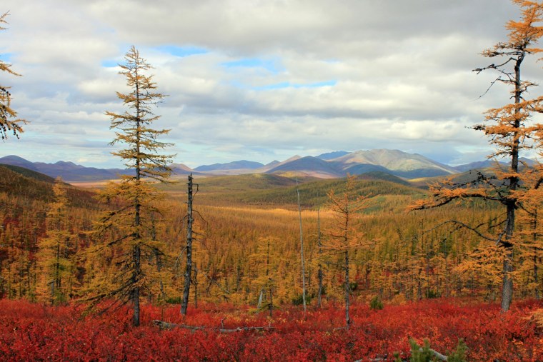 Тундра Магаданской области