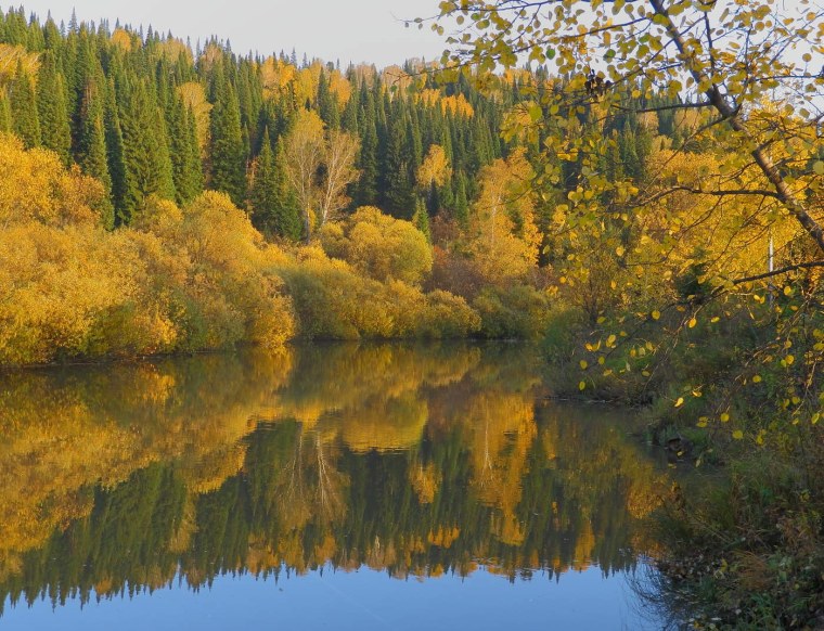 Осенняя Тайга