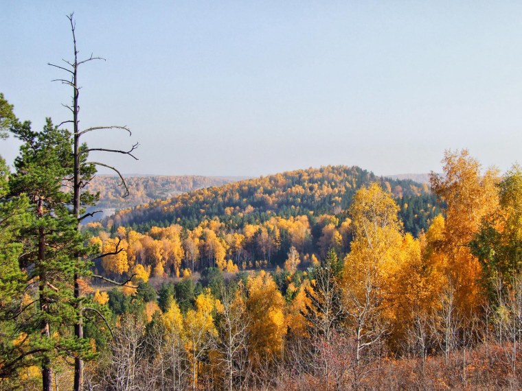 Салаирский Кряж Кузбасс