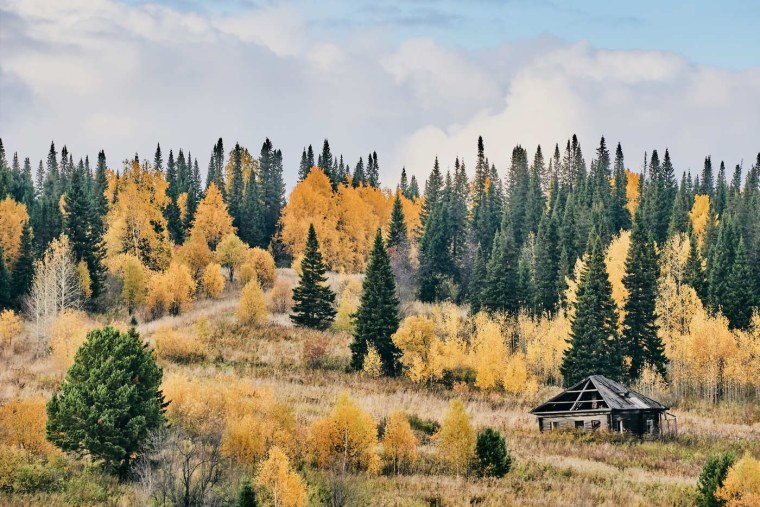 Западно-Сибирская подтайга