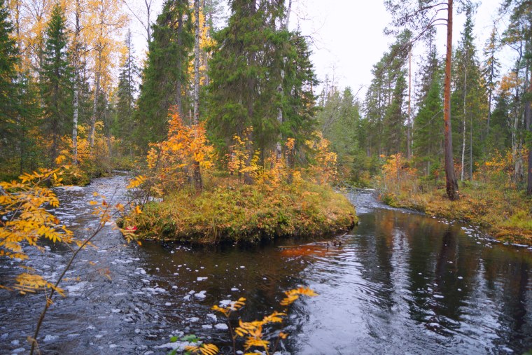 Река Пележма Архангельская область
