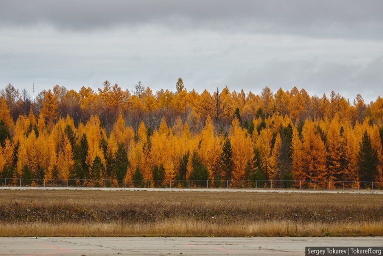 Осень на Амуре