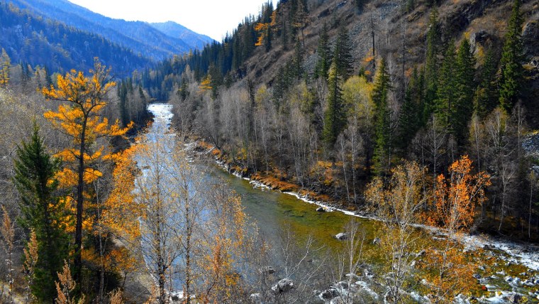 Тайга река Енисей