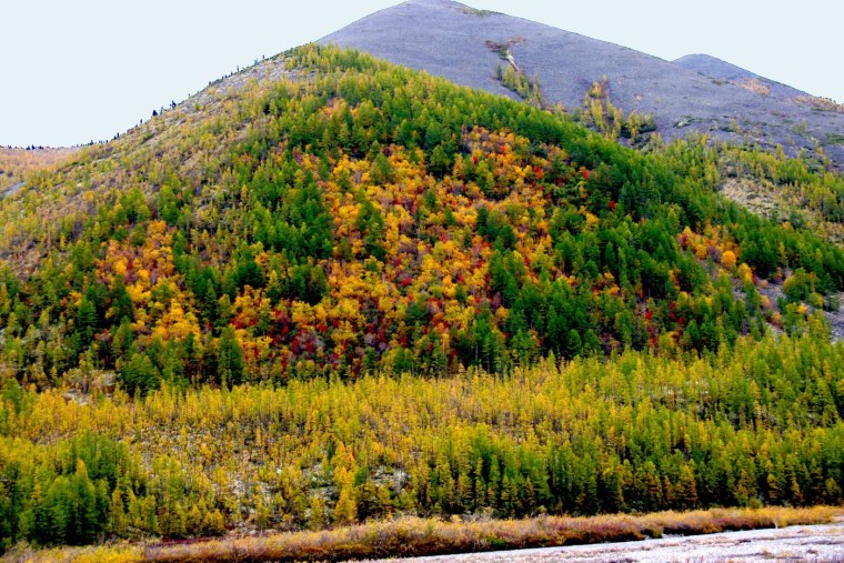 Уральская Горная Тайга