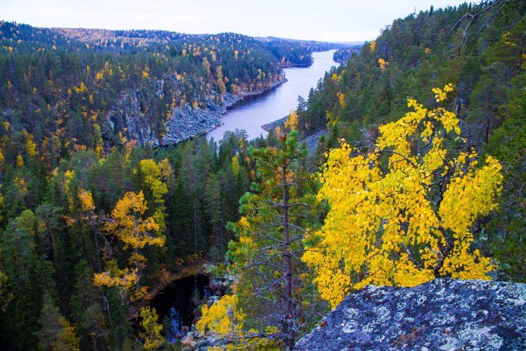 Тайга Красноярск осенью