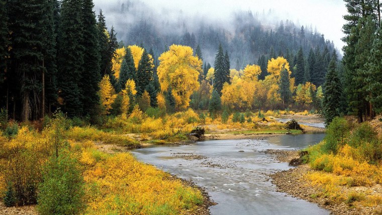 Осень в сибирской тайге