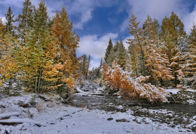 Заснеженная Тайга Алтая