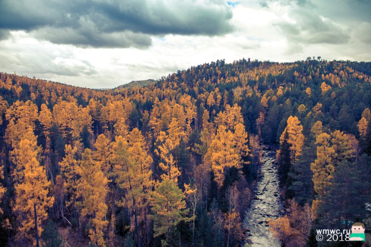 Пермский край Тайга климат