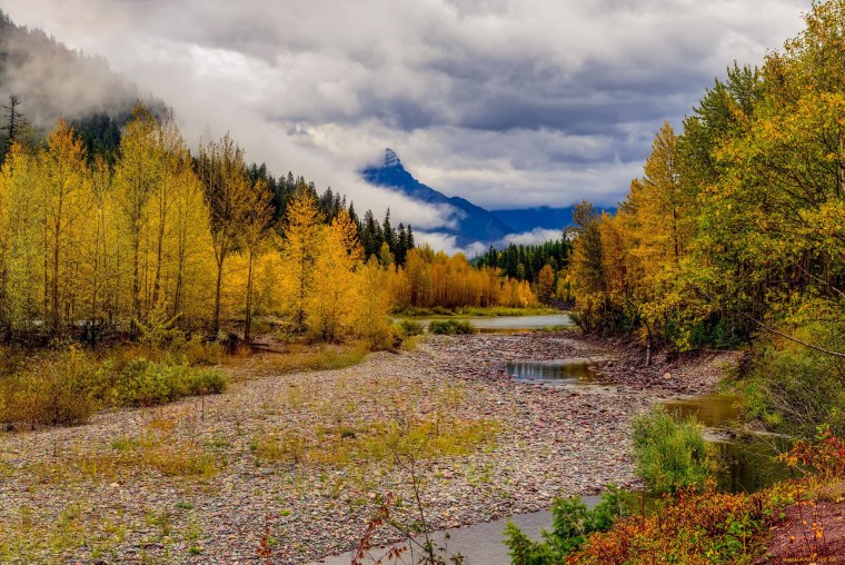 Октябрь Тайга