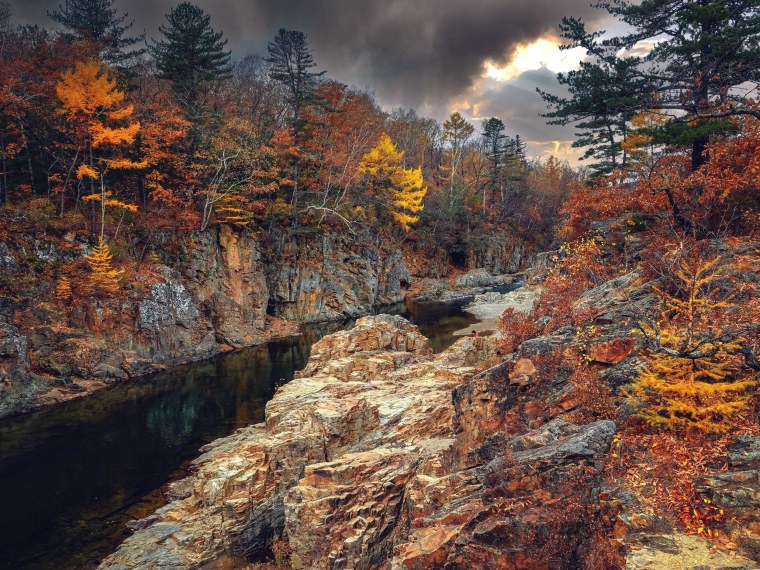 Уссурийская Тайга осень