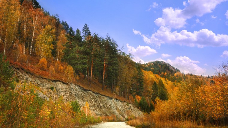 Сибирь природа дорога осенью