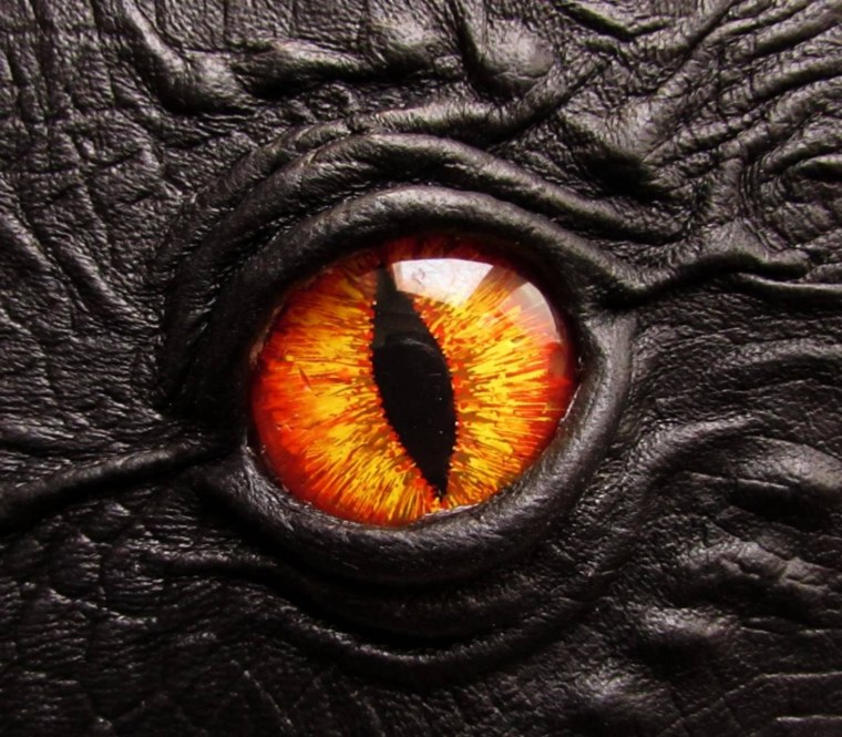 Глаз рептилии