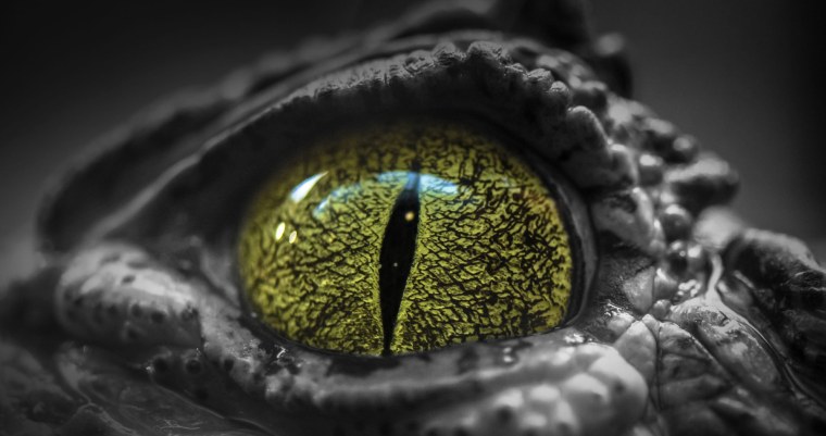 Крокодиловый Варан глаза