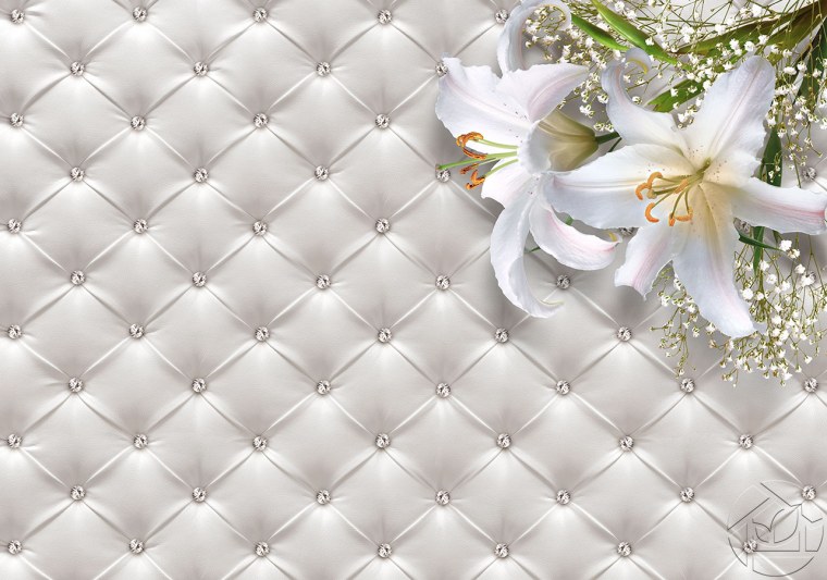 Фотофон каретная стяжка