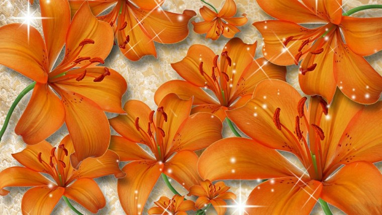 Обои на телефон лилии