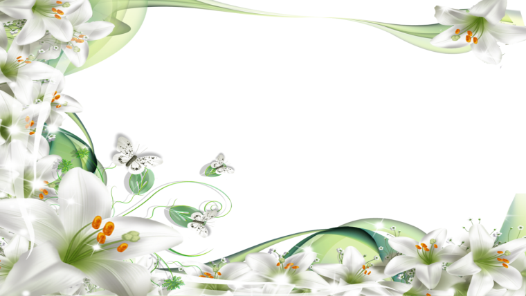 Рамка из цветов лилии
