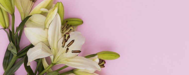 Фон с лилиями для фотошопа