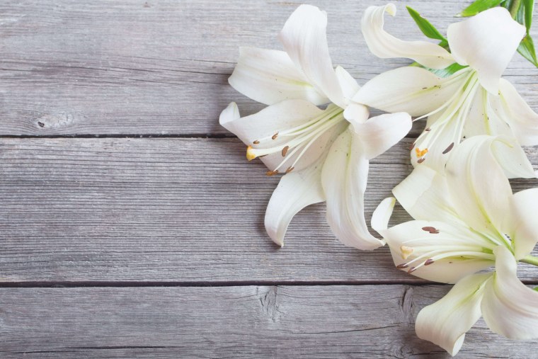 Фотофон с лилиями