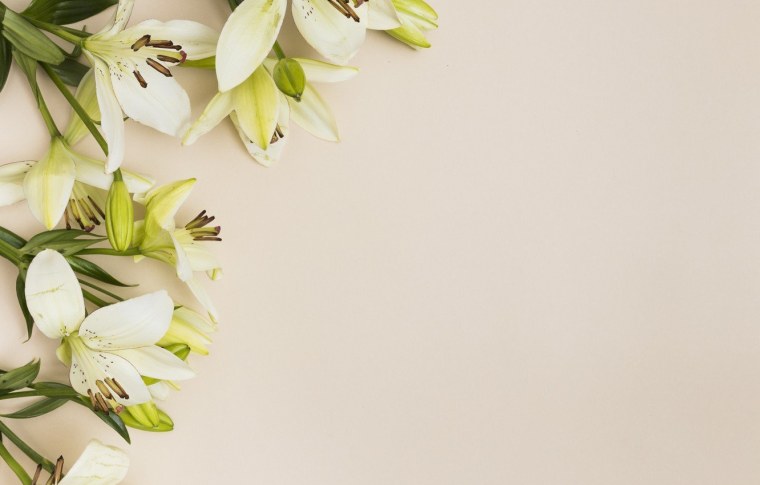 Цветы на бежевом фоне