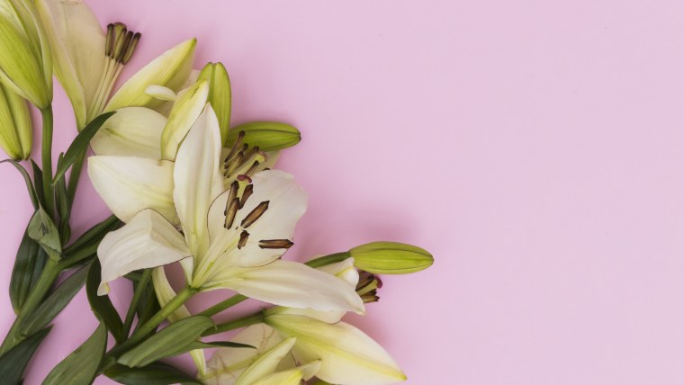 Фон цветы лилии