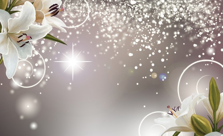 Лилии на белом фоне