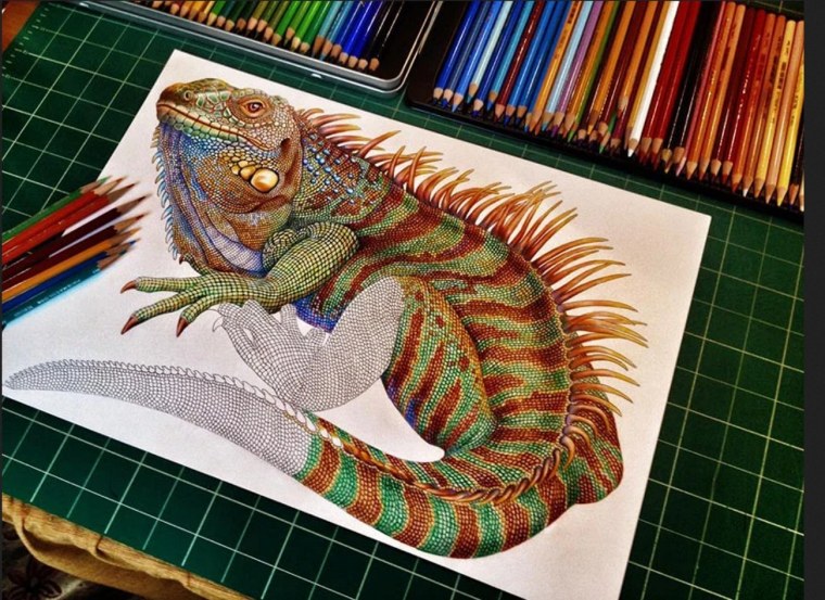 Домашняя ящерица игуана