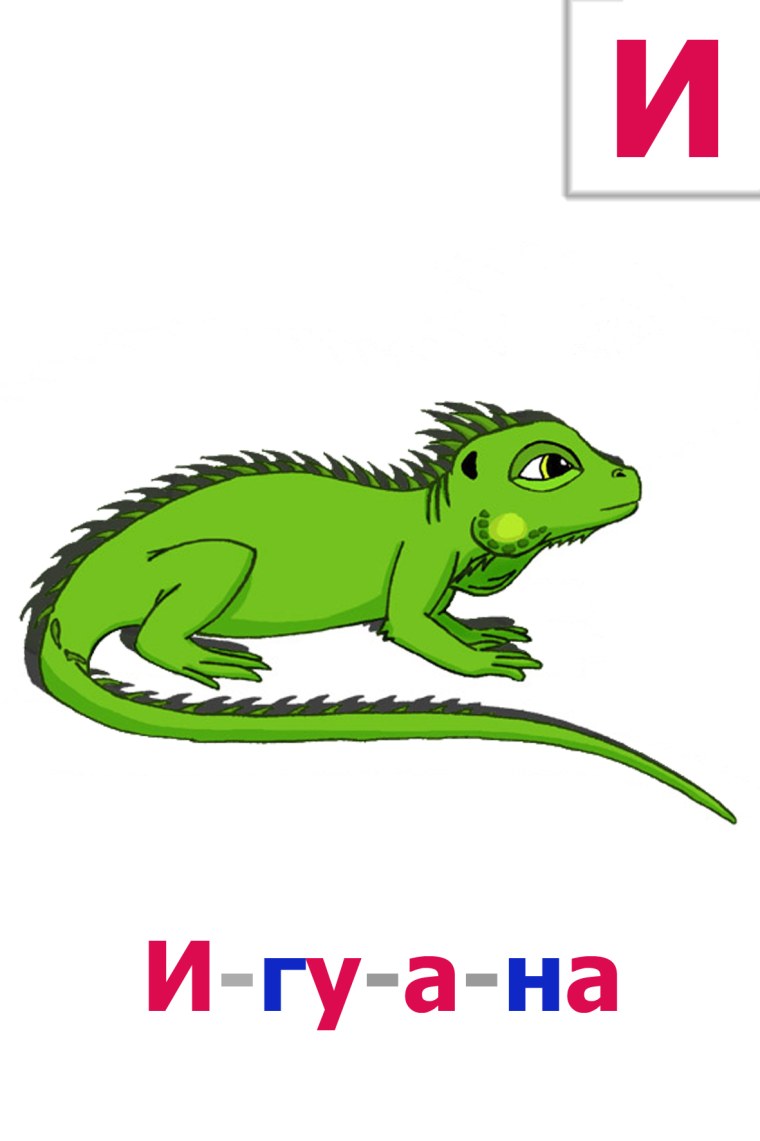 Загадка про игуану для детей