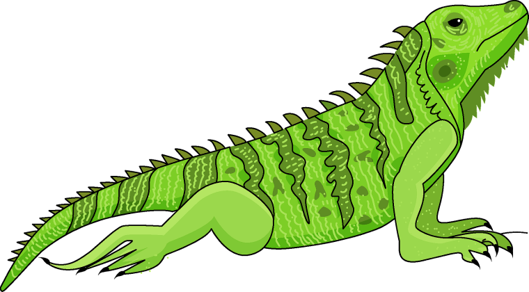 Iguana мультяшный