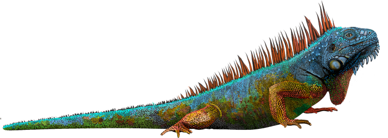 Игуана без фона