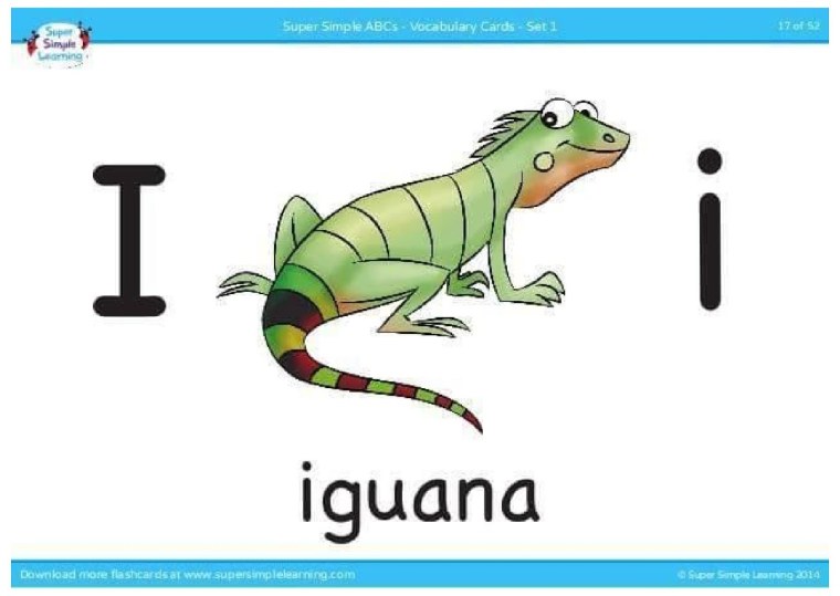 Ящерица зеленая раскраска