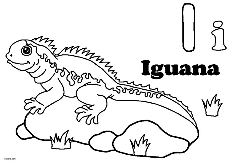 Iguana раскраска для детей