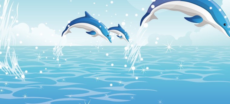 Фон с дельфинами