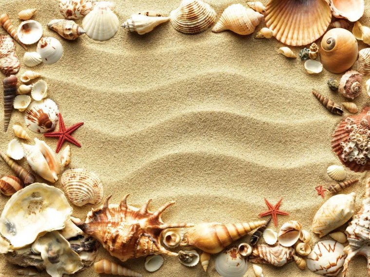 Морское дно с ракушками