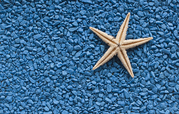 Морской фон